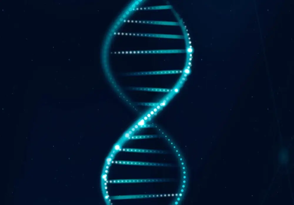 A double helix of DNA strand.